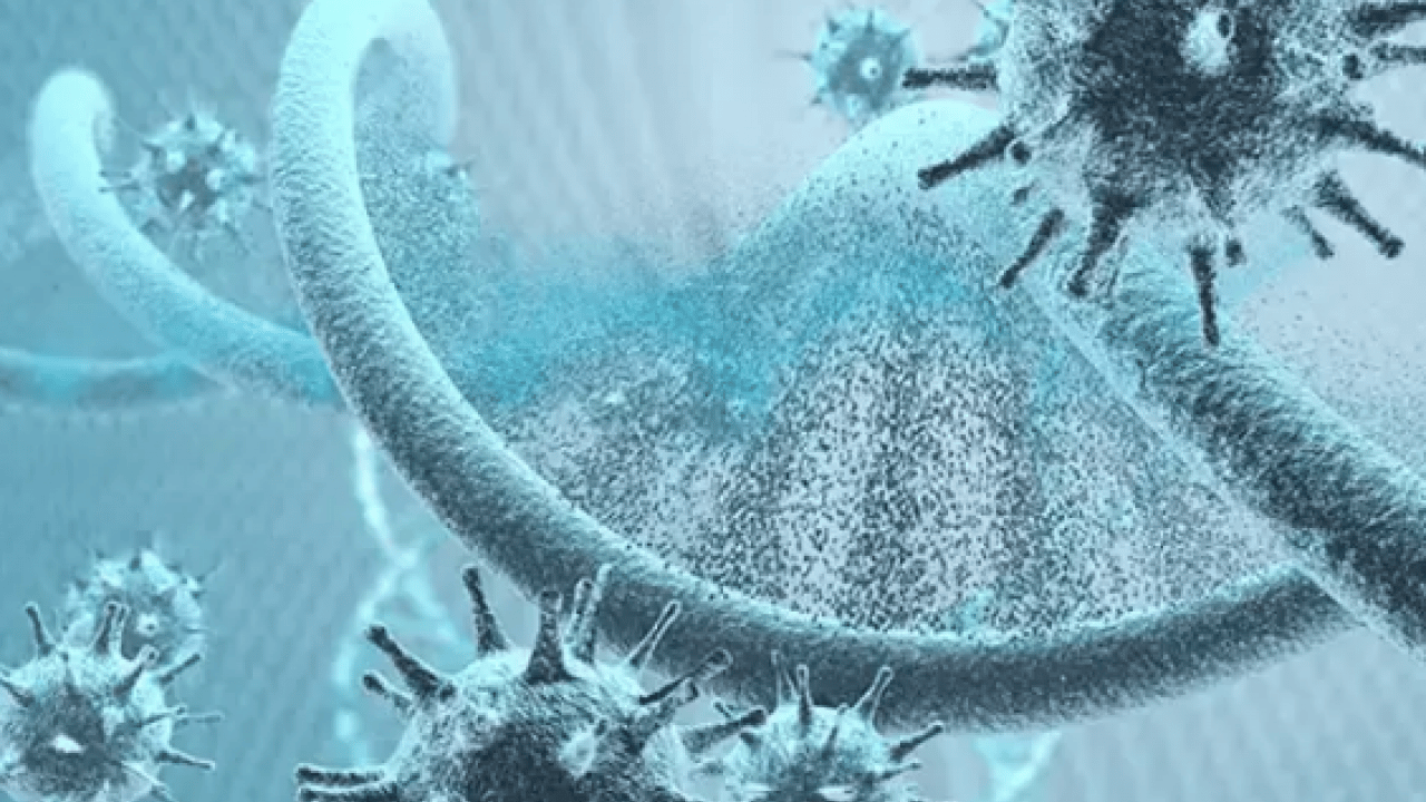 Foto - İmmün yetmezliği: Erken tanı ve doğru takip hayat kurtarıyor! İmmünsüpresif detayı...