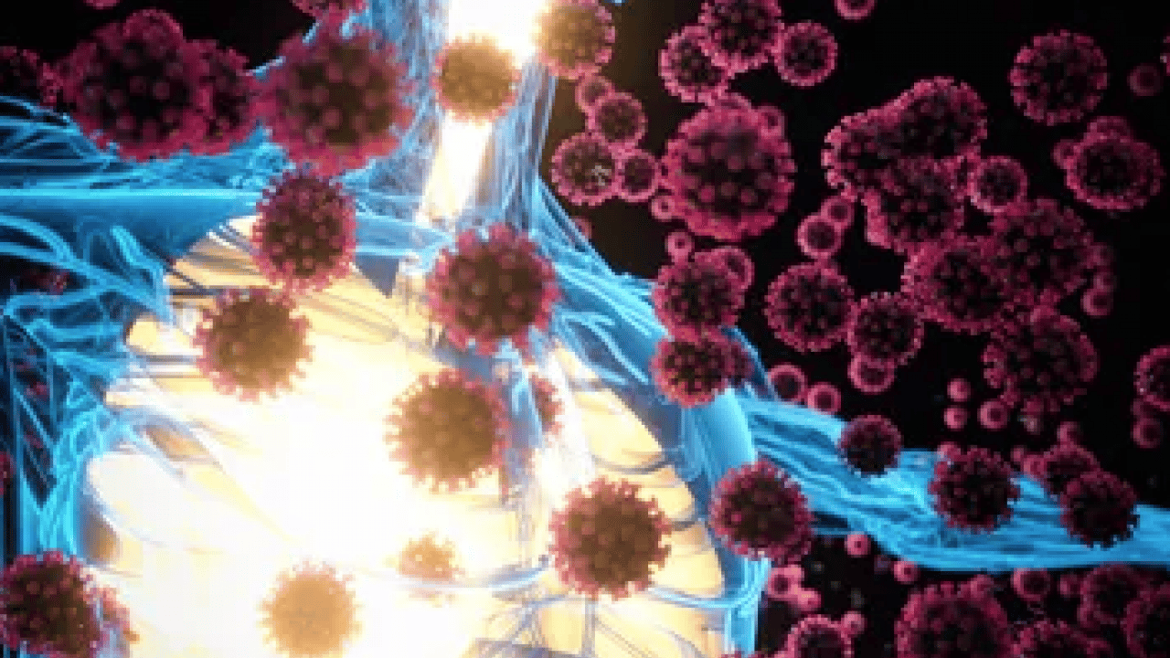 İmmün yetmezliği: Erken tanı ve doğru takip hayat kurtarıyor! İmmünsüpresif detayı...