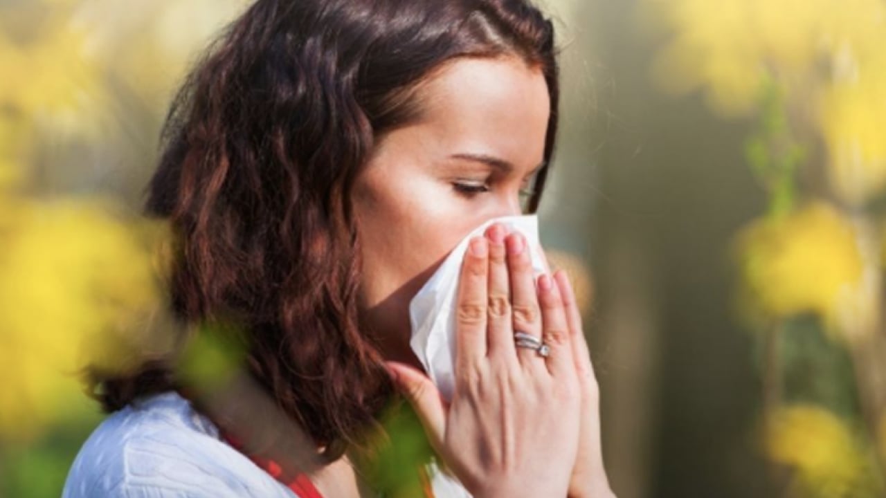Foto - İmmünoloji Uzmanı duyurdu: Polen alerjisine karşı kalıcı kalkan 'alerji aşısı'