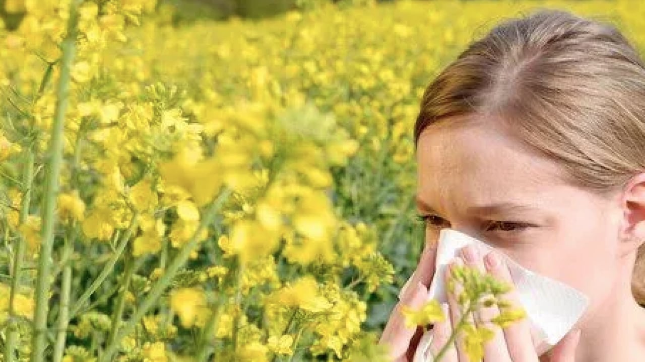 Foto - İmmünoloji Uzmanı duyurdu: Polen alerjisine karşı kalıcı kalkan 'alerji aşısı'