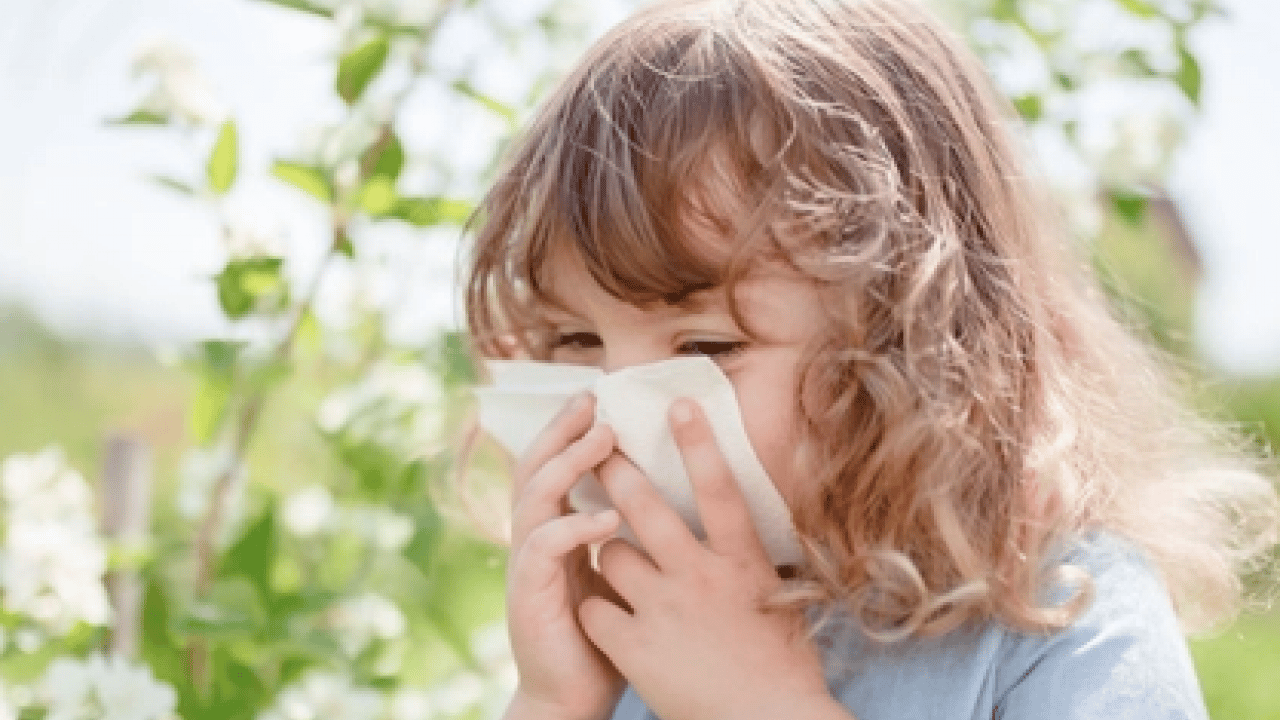 Foto - İmmünoloji Uzmanı duyurdu: Polen alerjisine karşı kalıcı kalkan 'alerji aşısı'