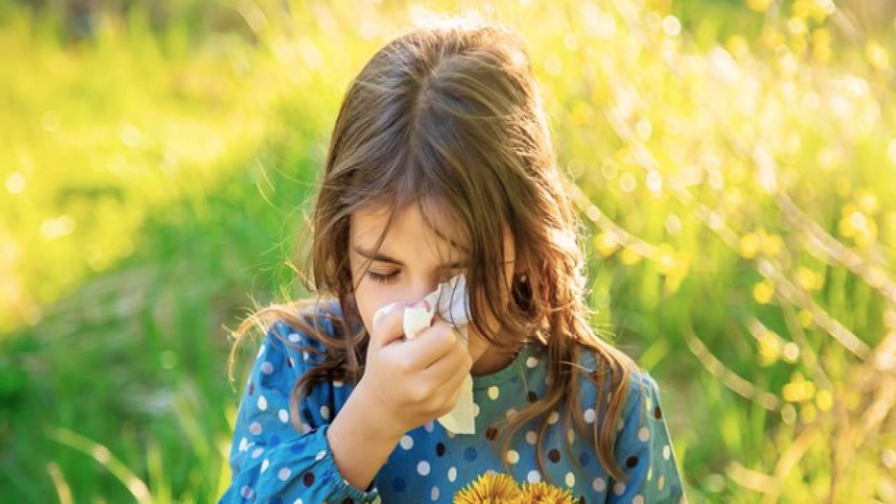 Foto - İmmünoloji Uzmanı duyurdu: Polen alerjisine karşı kalıcı kalkan 'alerji aşısı'