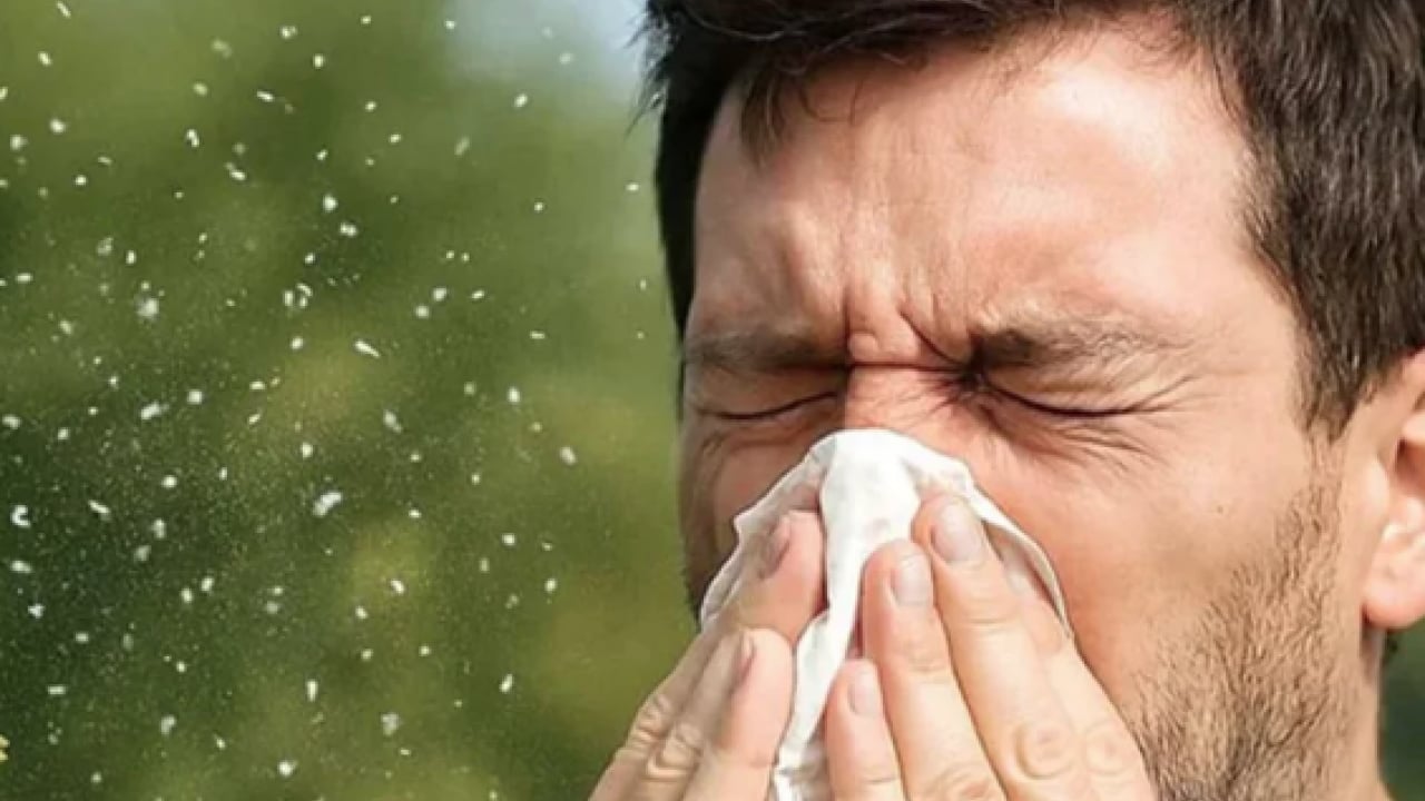 Foto - İmmünoloji Uzmanı duyurdu: Polen alerjisine karşı kalıcı kalkan 'alerji aşısı'