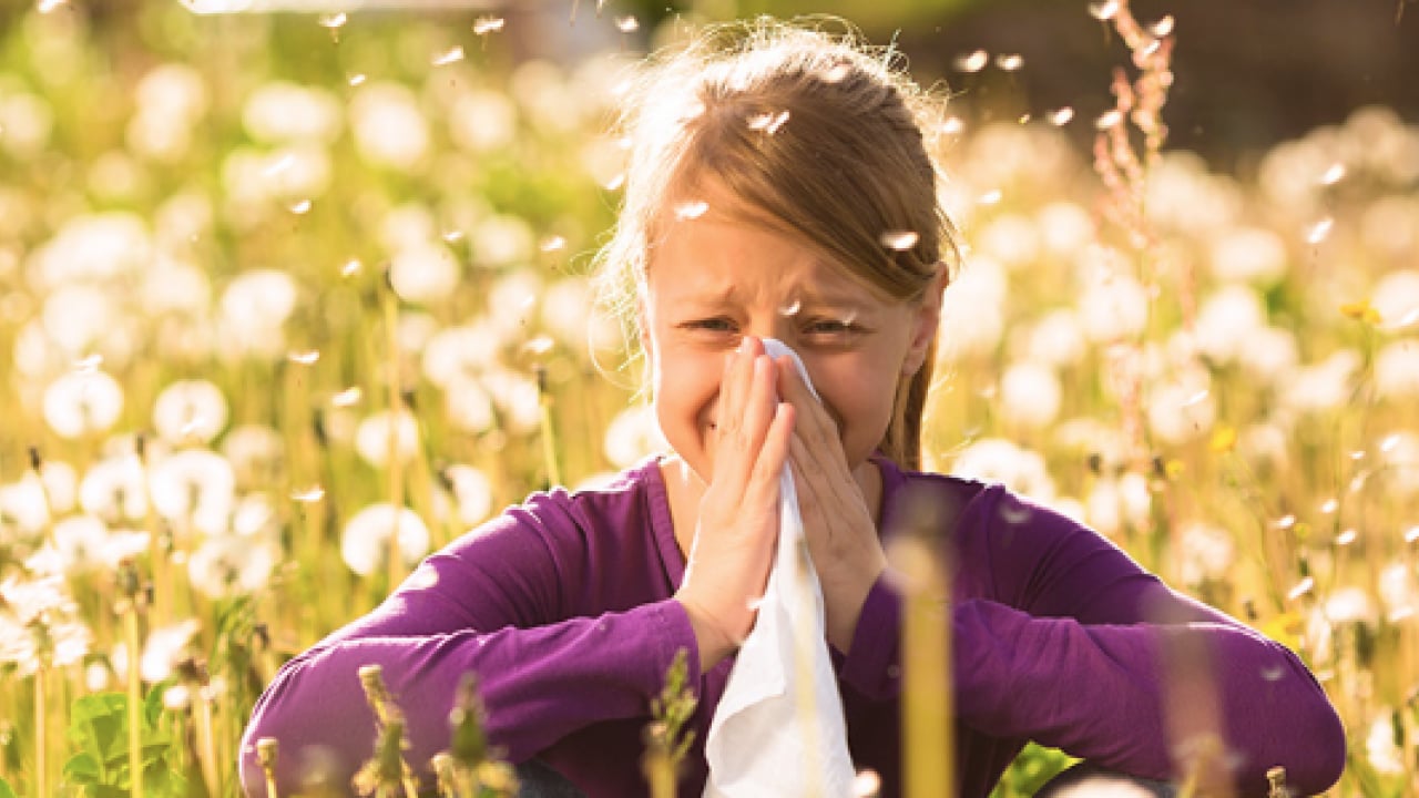 İmmünoloji Uzmanı duyurdu: Polen alerjisine karşı kalıcı kalkan 'alerji aşısı'