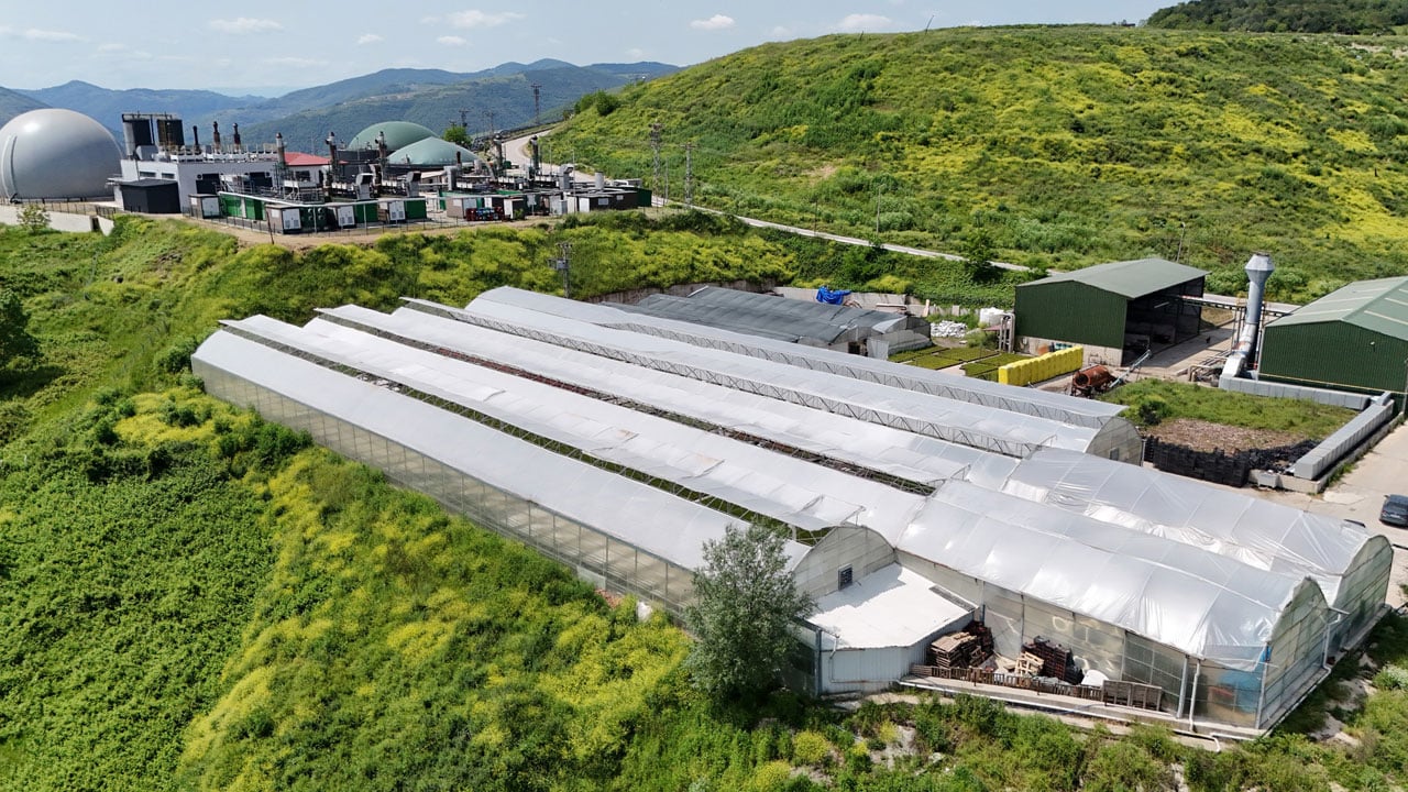 İnanması güç ama doğru! Bu şehirde çöpten çiçek üretiliyor