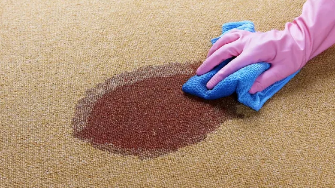 Foto - İnatçı halı lekelerini tek hamlede silip atın! Çözümü çok basitmiş: Evin en çok kirlenen eşyaları...