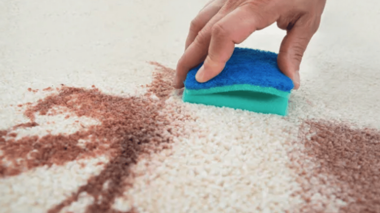 Foto - İnatçı halı lekelerini tek hamlede silip atın! Çözümü çok basitmiş: Evin en çok kirlenen eşyaları...