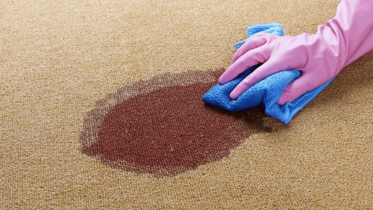 Foto - İnatçı halı lekelerini tek hamlede silip atın! Çözümü çok basitmiş: Evin en çok kirlenen eşyaları...