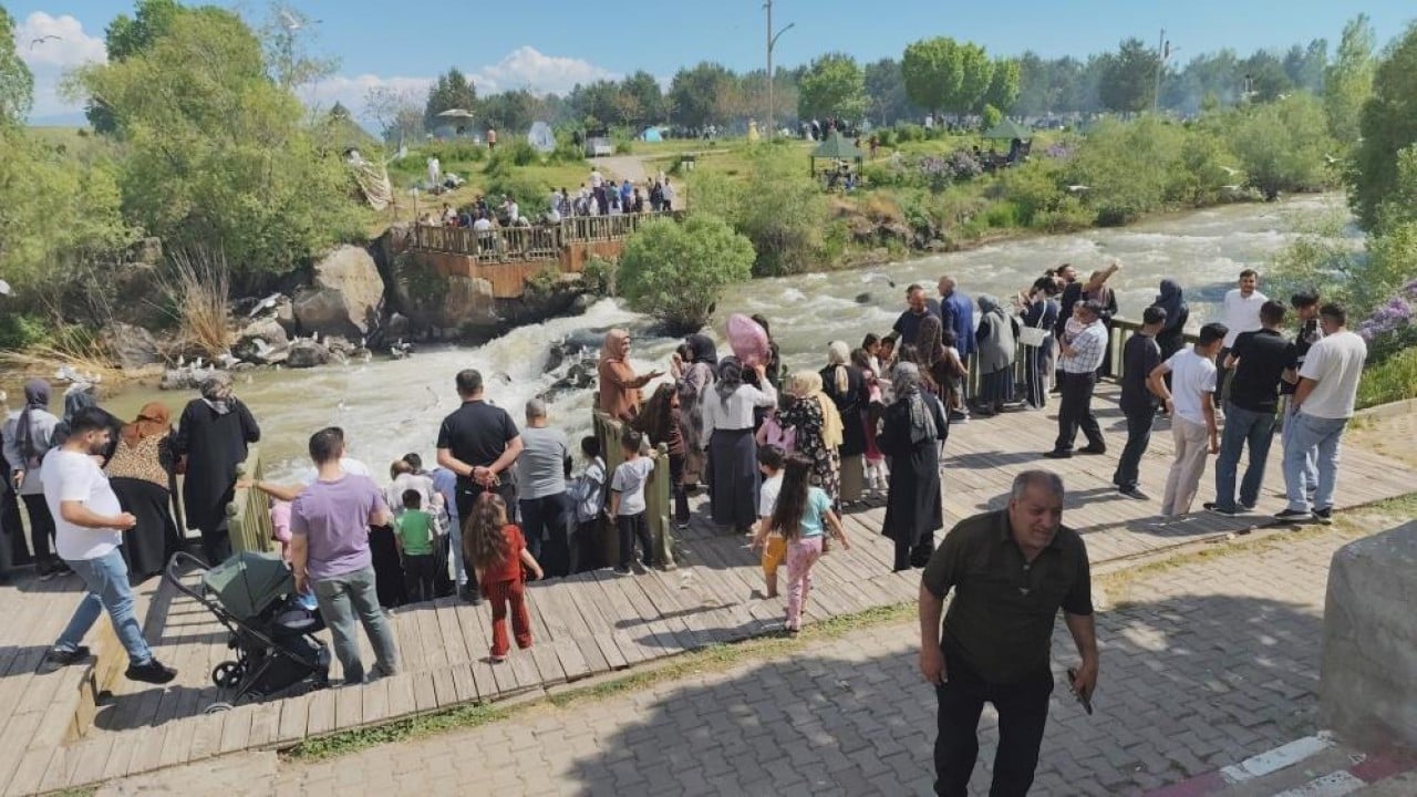 İnci kefali göç yolunda sona yaklaştı