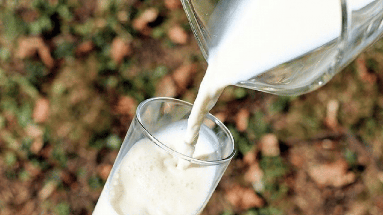 Foto - İnekler kesiliyor artık sütte bulamayacağız diyorlardı... Son üç yıldır süt üretimimiz rekor üstüne rekor kırıyor