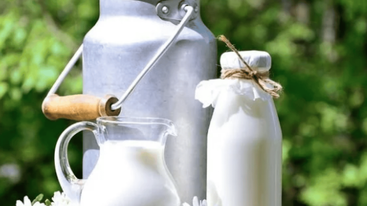 Foto - İnekler kesiliyor artık sütte bulamayacağız diyorlardı... Son üç yıldır süt üretimimiz rekor üstüne rekor kırıyor