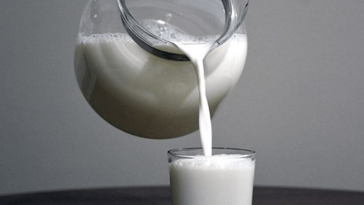 Foto - İnekler kesiliyor artık sütte bulamayacağız diyorlardı... Son üç yıldır süt üretimimiz rekor üstüne rekor kırıyor