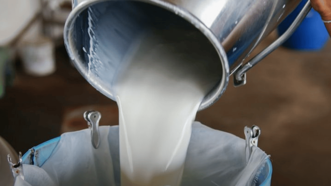 Foto - İnekler kesiliyor artık sütte bulamayacağız diyorlardı... Son üç yıldır süt üretimimiz rekor üstüne rekor kırıyor