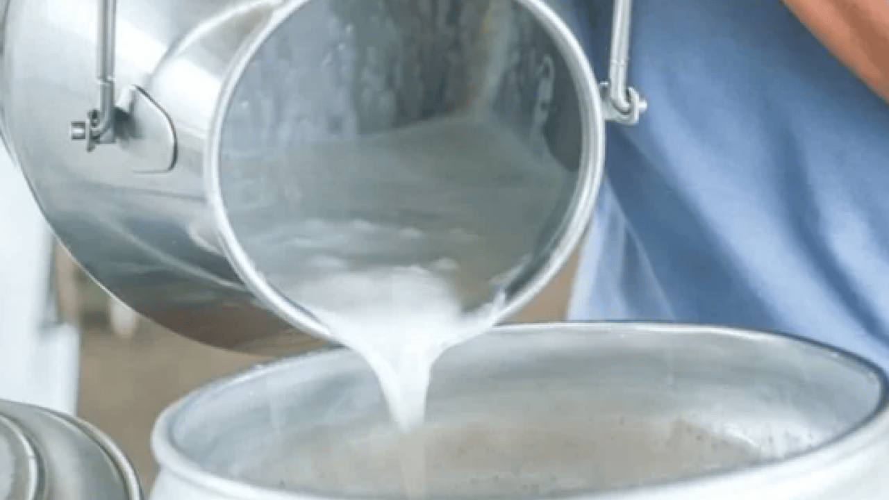 Foto - İnekler kesiliyor artık sütte bulamayacağız diyorlardı... Son üç yıldır süt üretimimiz rekor üstüne rekor kırıyor