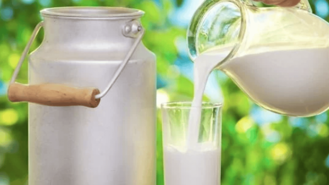 Foto - İnekler kesiliyor artık sütte bulamayacağız diyorlardı... Son üç yıldır süt üretimimiz rekor üstüne rekor kırıyor