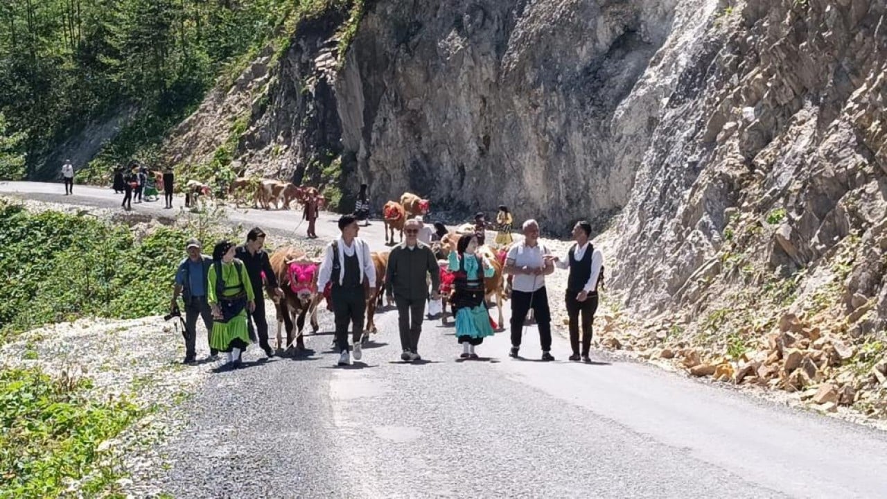 Foto - İnekleri rengârenk süslediler! Geleneksel yayla göçü başladı