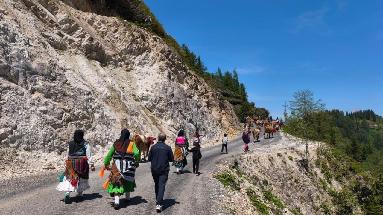 Foto - İnekleri rengârenk süslediler! Geleneksel yayla göçü başladı