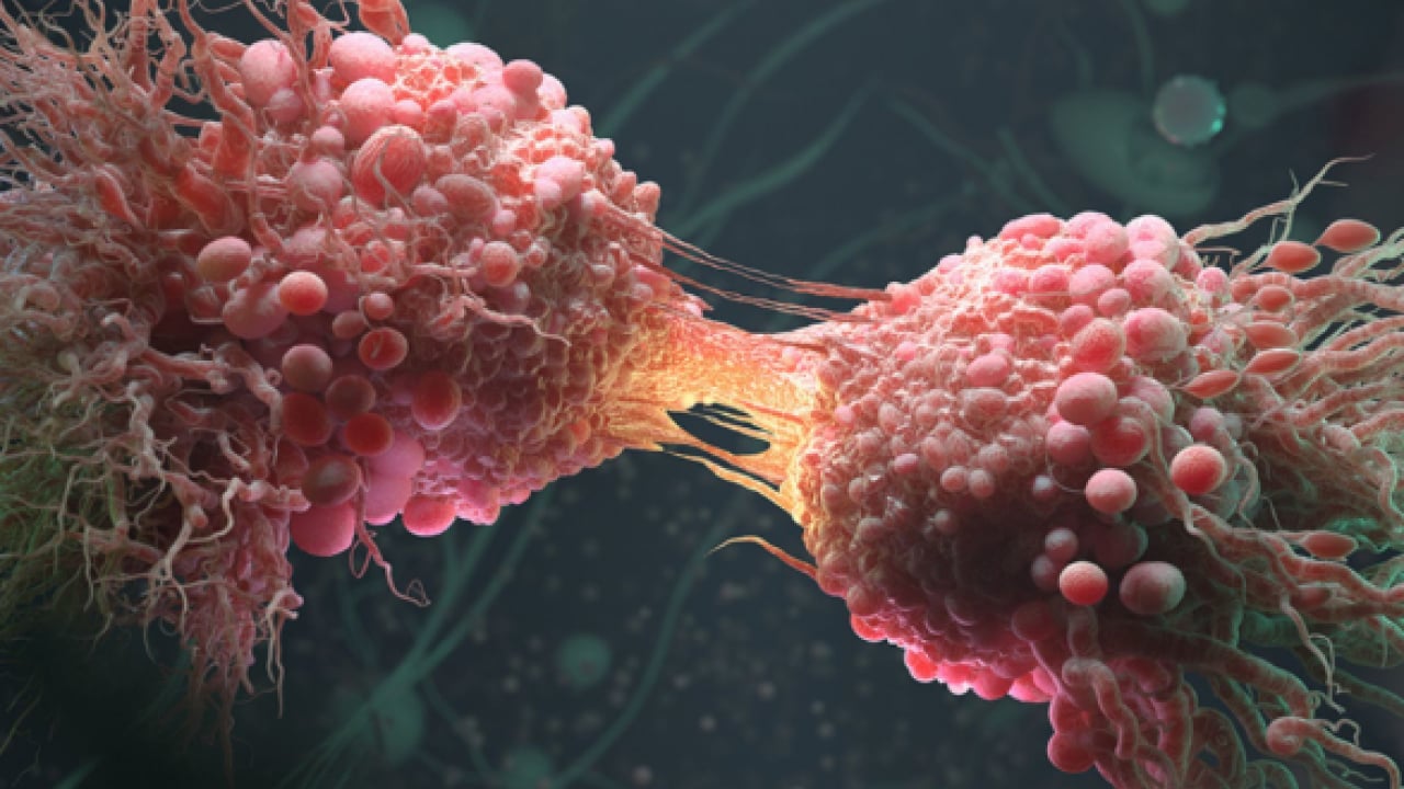 Foto - İngilizler müjdeyi duyurdu: Kanser tarih olmak üzere!