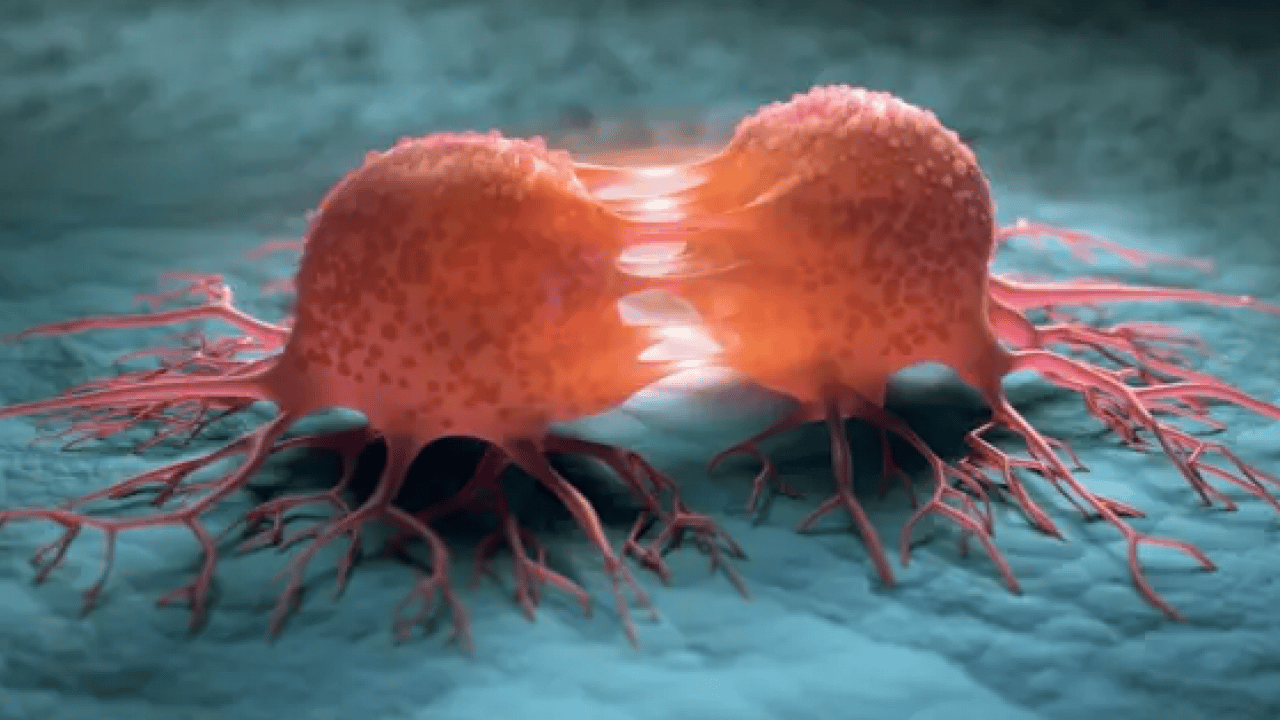 Foto - İngilizler müjdeyi duyurdu: Kanser tarih olmak üzere!