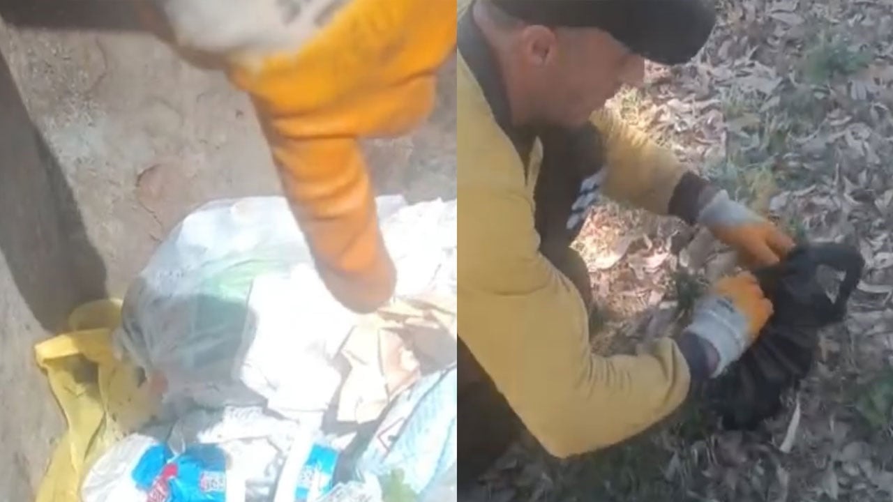 Foto - İnsan bunu yapabilir mi? Çöpteki ağzı bağlı poşetten 5 yavru kedi çıktı