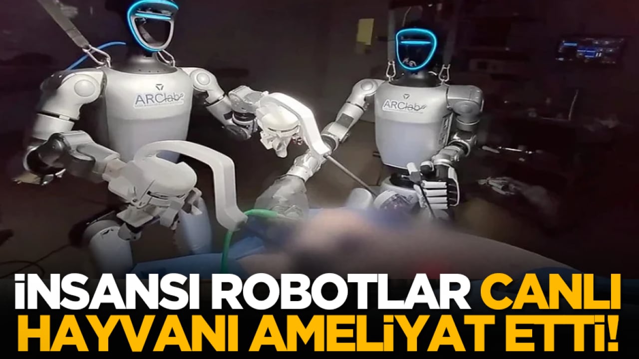 İnsansı robotlar canlı hayvanı ameliyat etti!