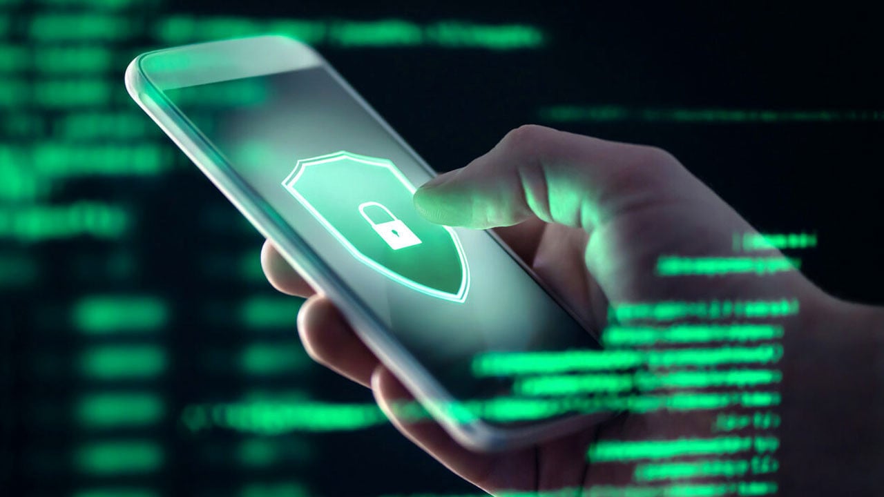 Foto - İnternetin her yerinde 