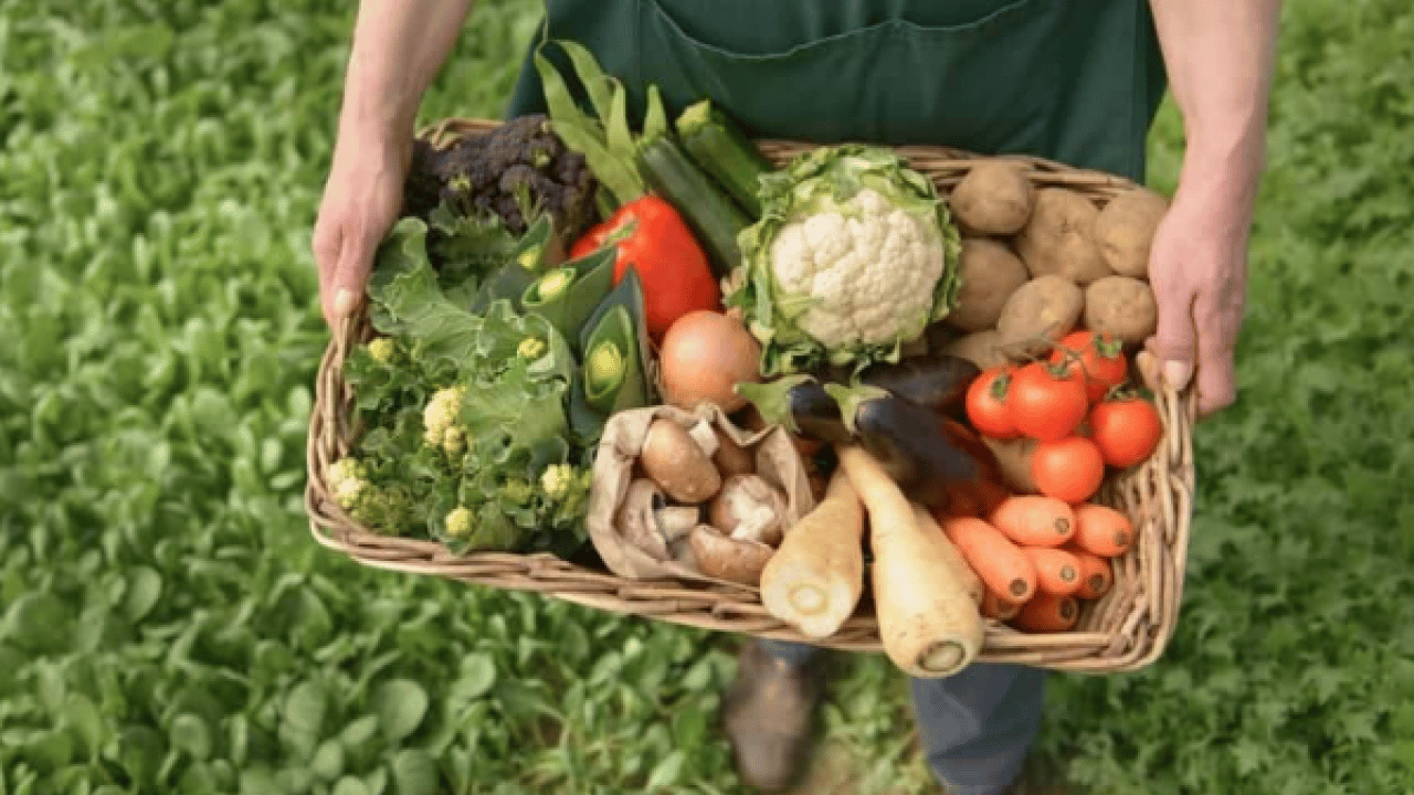 İnternette kol geziyor: Bu etiketlere sakın aldanmayın!