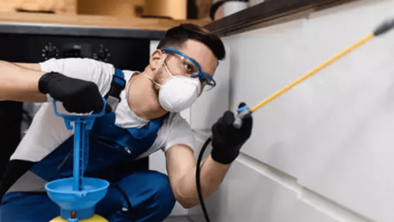 Foto - Türkiye için korkutan uyarı: İnternetten ölüm sipariş ediliyor!