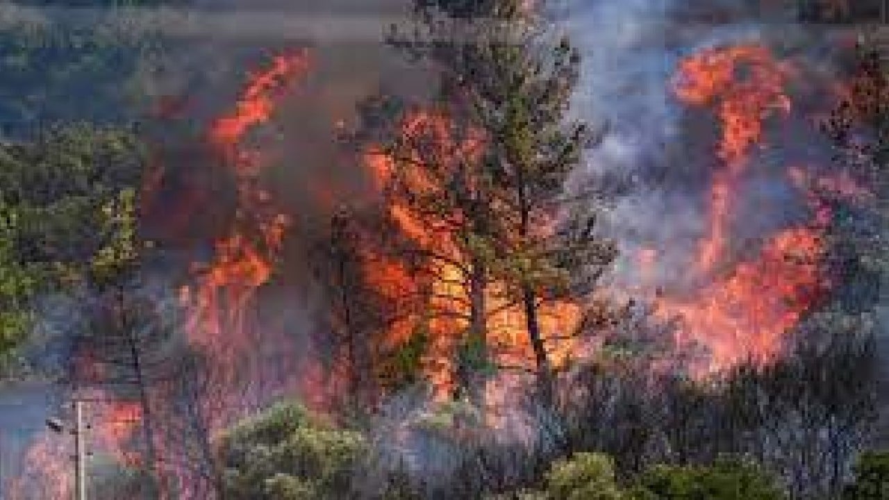 Foto - İran şokta! 'Türkiye'den uçaklar ülkemize doğru yola çıkıyor' diyerek duyurdular