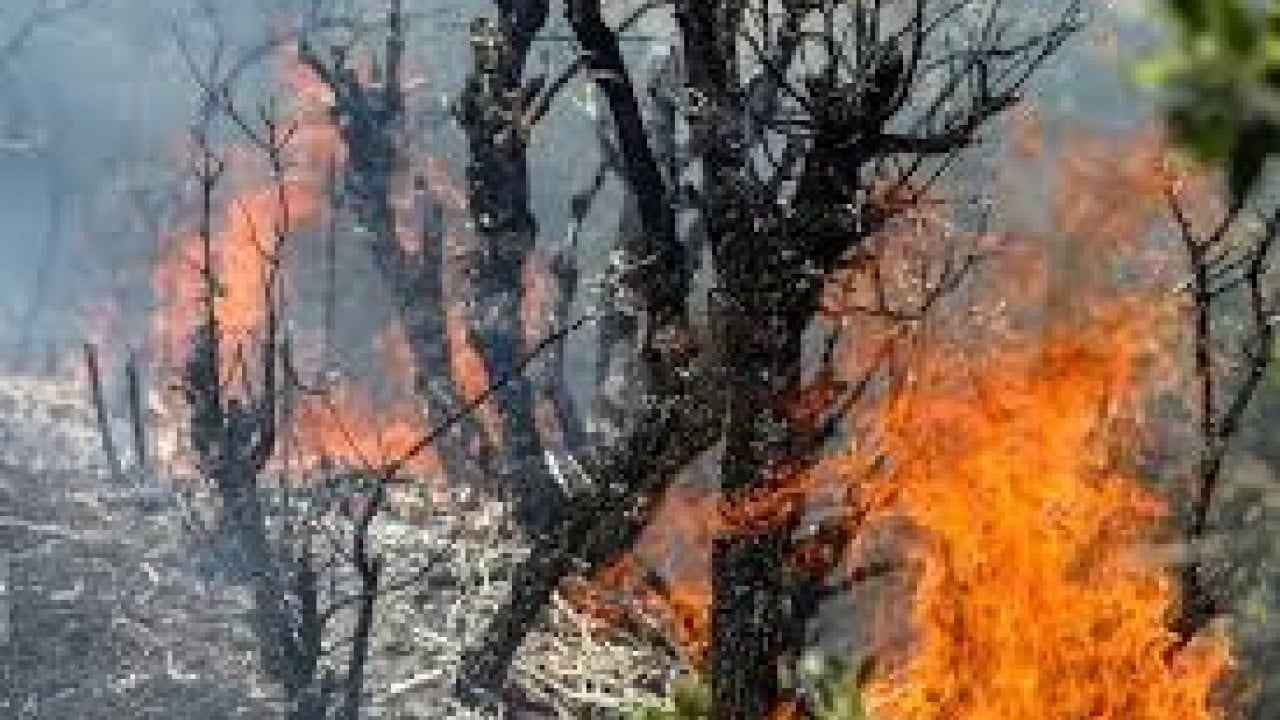 Foto - İran'dan skandal! Türkiye'den helikopter alıp bakın ne yaptılar