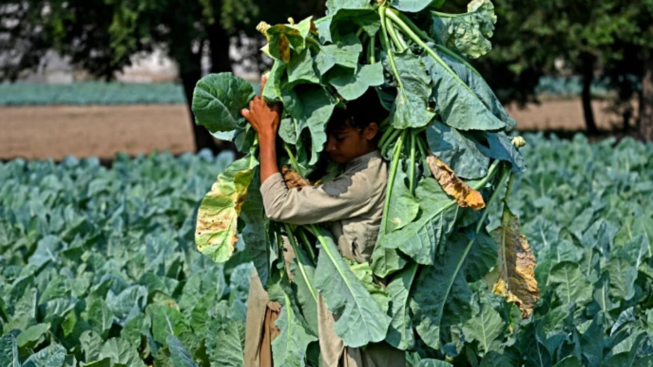 Foto - İran'ın yardımına bir diğer İslam ülkesi koştu! İzin verildi