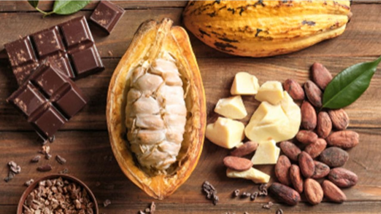 Foto - İşe yarar bunu yapın: Hafıza işlevini güçlendirmek için gerekli besinler! Hayati tavsiyeler