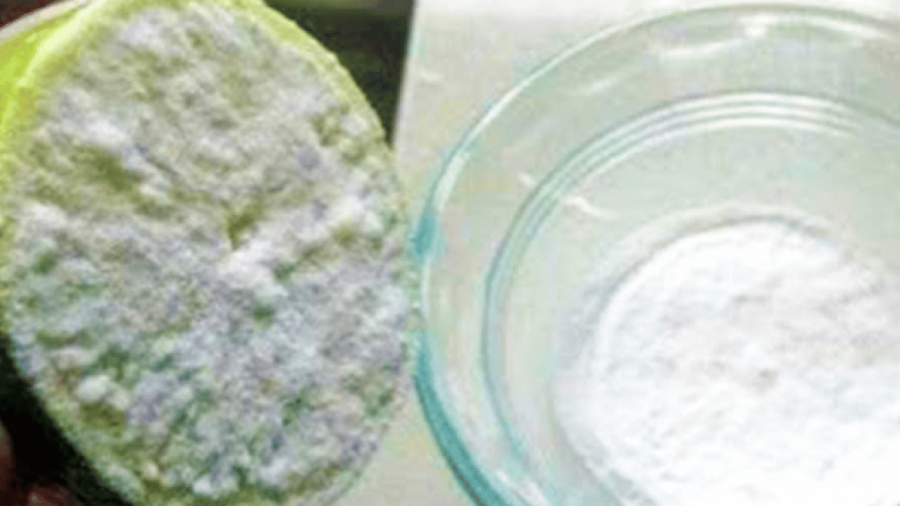 Foto - Işıl ışıl bir görünüm için... Sadece 2 malzemeli... Yüz gençleştiren maske tarifi