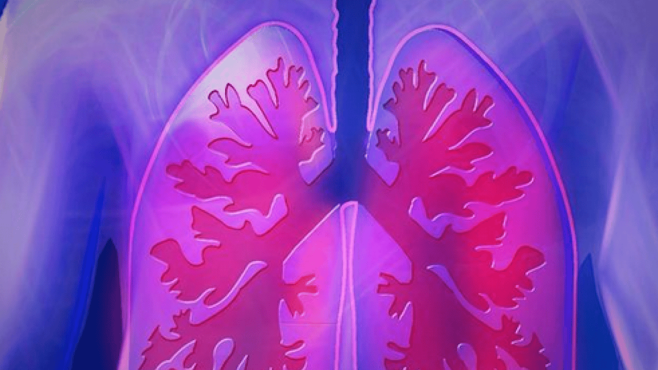 Foto - İşin ucu yine sigaraya dayanıyor: Uzmanından dünyada en çok öldüren 4'üncü hastalık için uyarı