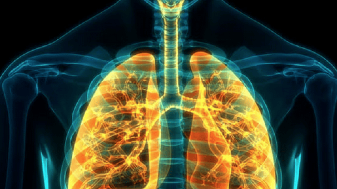 Foto - İşin ucu yine sigaraya dayanıyor: Uzmanından dünyada en çok öldüren 4'üncü hastalık için uyarı