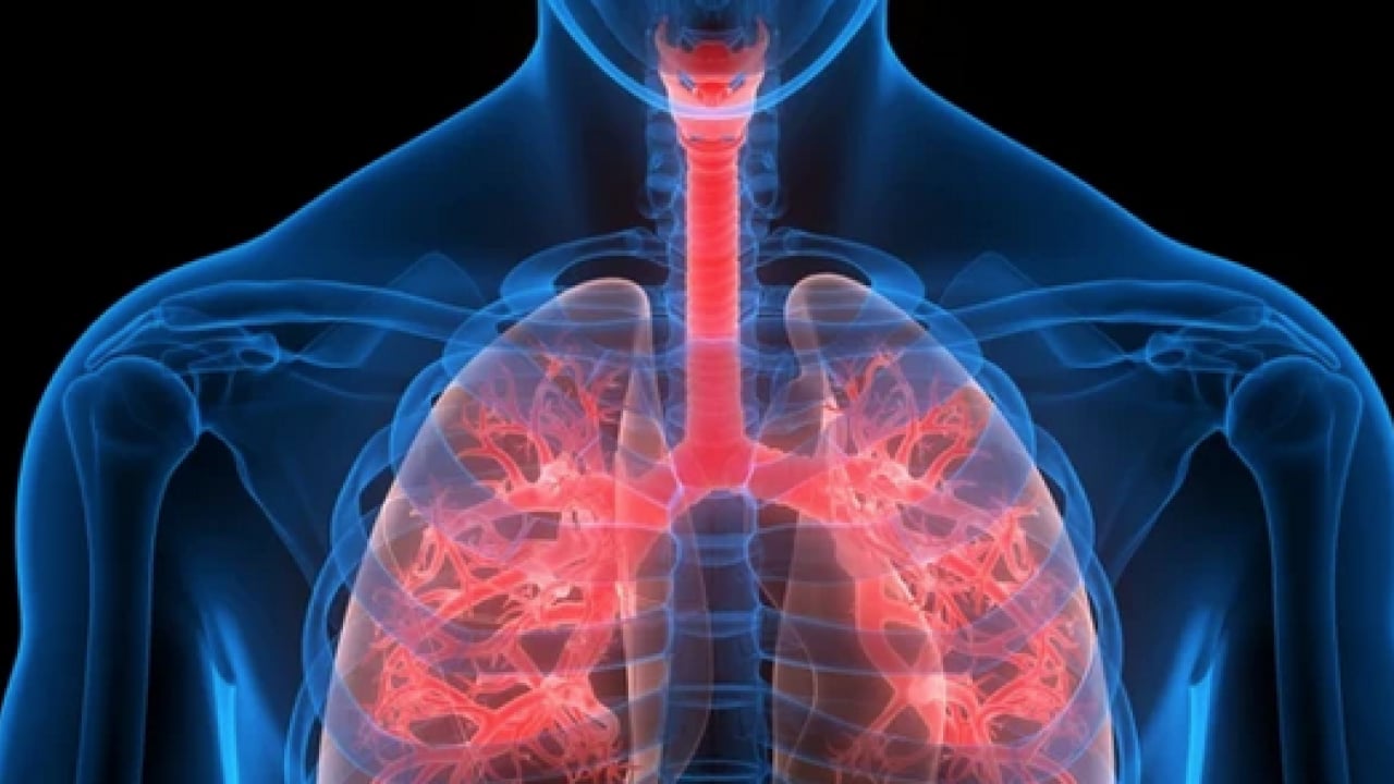 Foto - İşin ucu yine sigaraya dayanıyor: Uzmanından dünyada en çok öldüren 4'üncü hastalık için uyarı