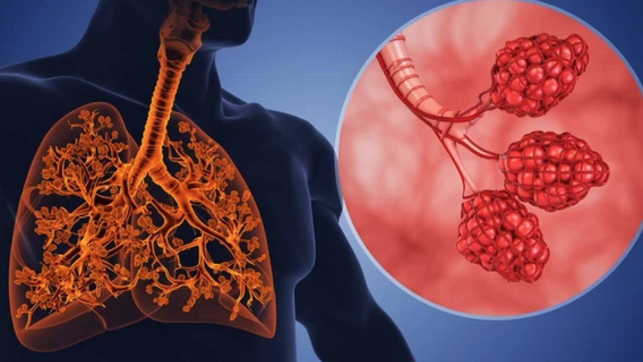 İşin ucu yine sigaraya dayanıyor: Uzmanından dünyada en çok öldüren 4'üncü hastalık için uyarı