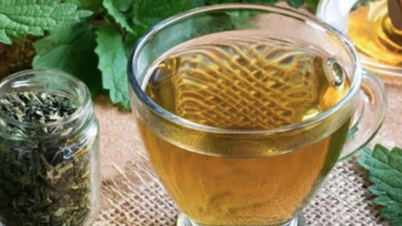 Foto - Isırgan otu çayı nasıl yapılır? Isırgan otunun faydaları & zararları! Bugün yapın