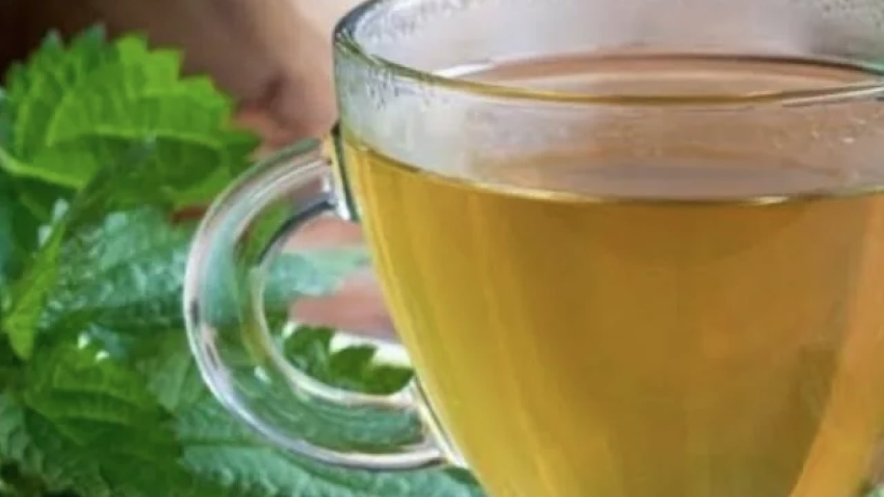 Foto - Isırgan otu çayı nasıl yapılır? Isırgan otunun faydaları & zararları! Bugün yapın