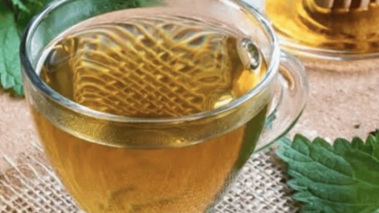 Isırgan otu çayı nasıl yapılır? Isırgan otunun faydaları & zararları! Bugün yapın