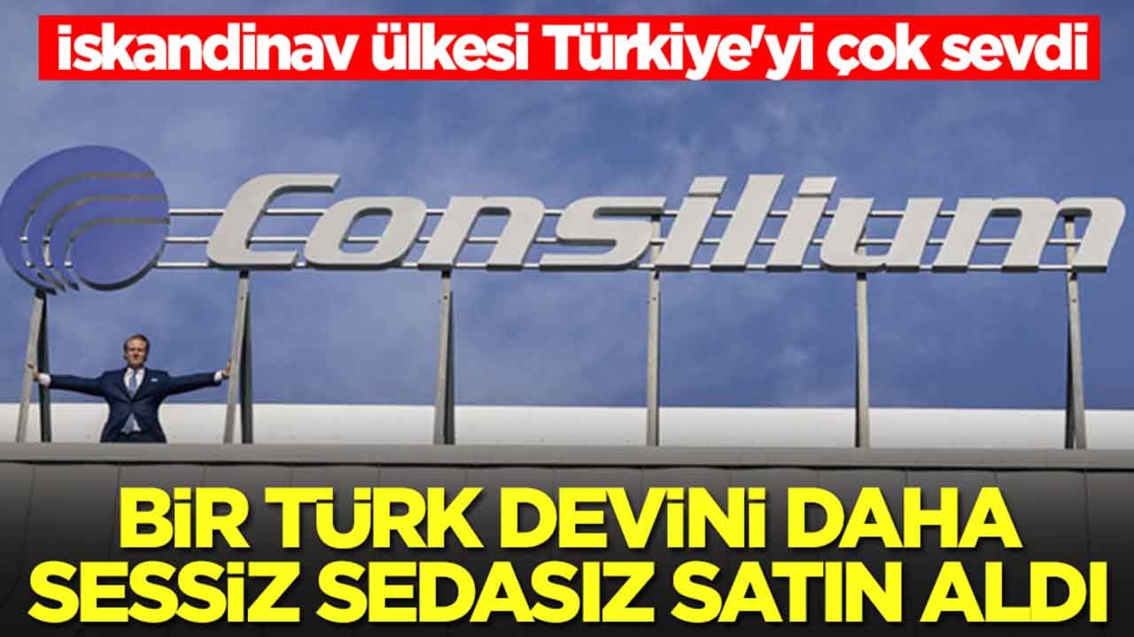 İskandinav ülkesi Türkiye'yi çok sevdi: Bir Türk devini daha sessiz sedasız satın aldılar