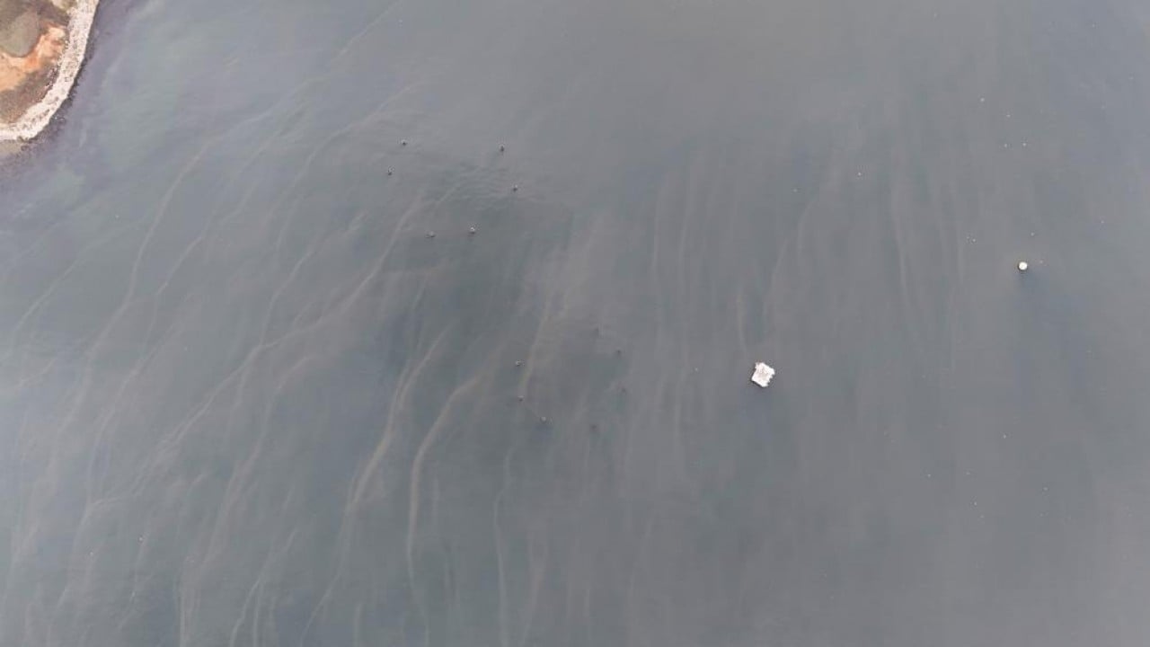 Foto - İSKİ cezadan ders almadı