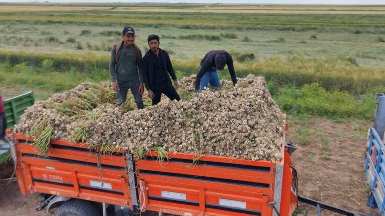 Foto - İspanya ve Rusya, apar topar Türkiye’nin kapısını çaldı: Aksaray’ın "gizli hazinesi"ni istiyorlar