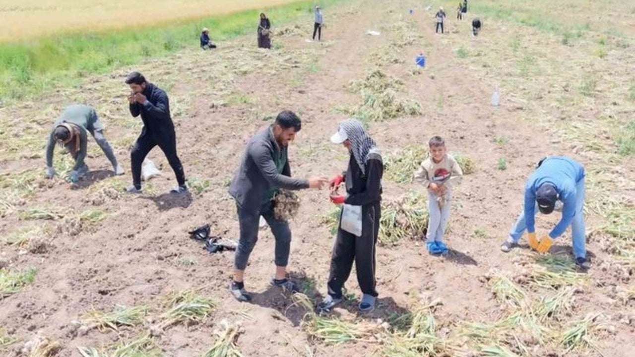 Foto - İspanya ve Rusya, apar topar Türkiye’nin kapısını çaldı: Aksaray’ın "gizli hazinesi"ni istiyorlar