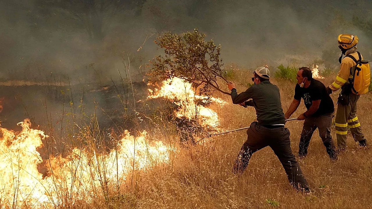 Foto - İspanya’da alevler kontrolden çıktı! 45 bin hektar kül oldu, Türkiye iki uçak gönderiyor