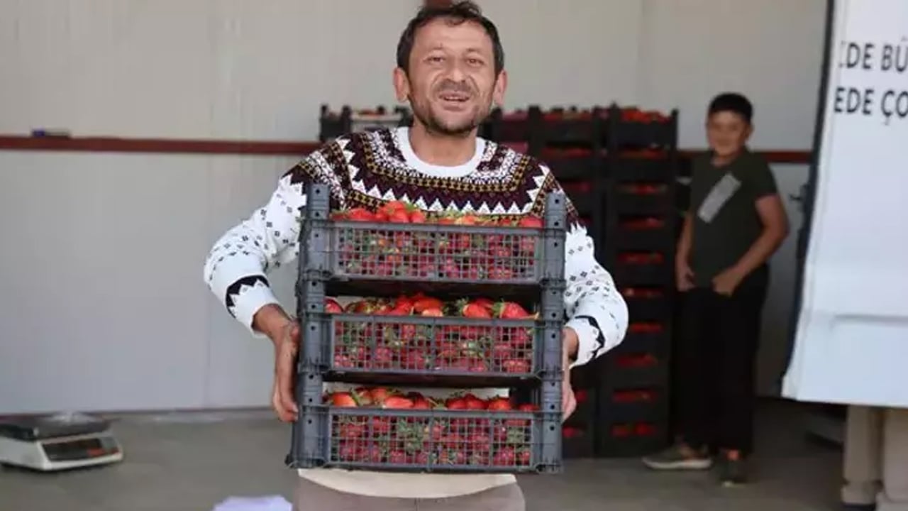 Foto - İspanya'dan talep yağıyor, yetiştiremiyorlar! Çiftçi yeni ürünle zenginleşti! Dünyaya satılıyor 