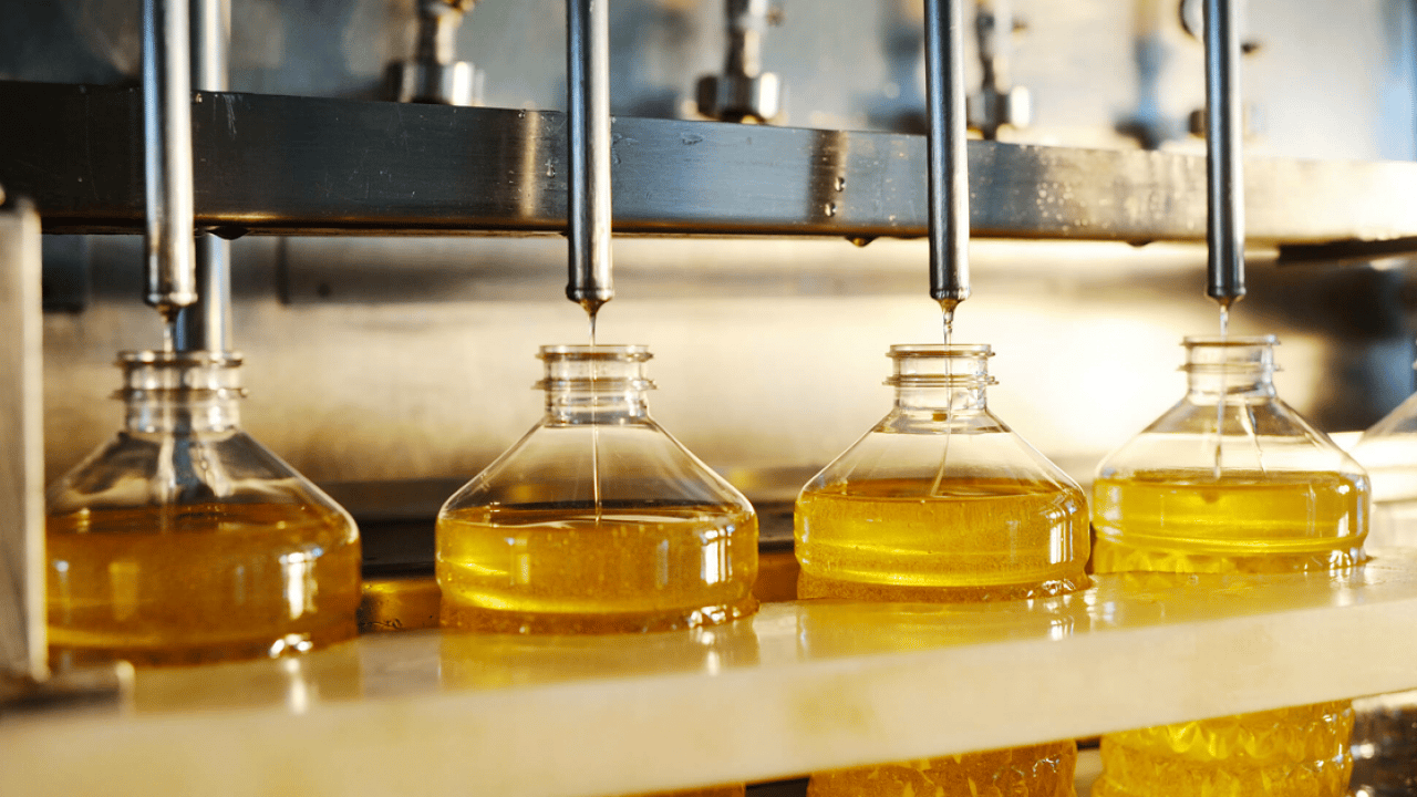 Foto - İspanya'nın ardından dünya ikincisi olduk Zeytin ve zeytinyağında başaktörüz