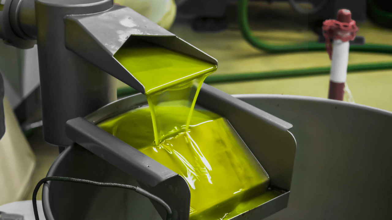 Foto - İspanya'nın ardından dünya ikincisi olduk Zeytin ve zeytinyağında başaktörüz