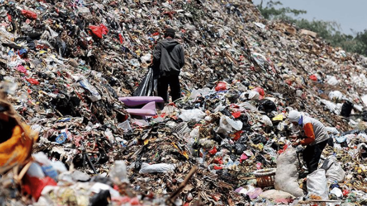 Foto - İsrafın fotoğrafı Bursa’da çekildi: Çöplerden çıkanlar servet değerinde