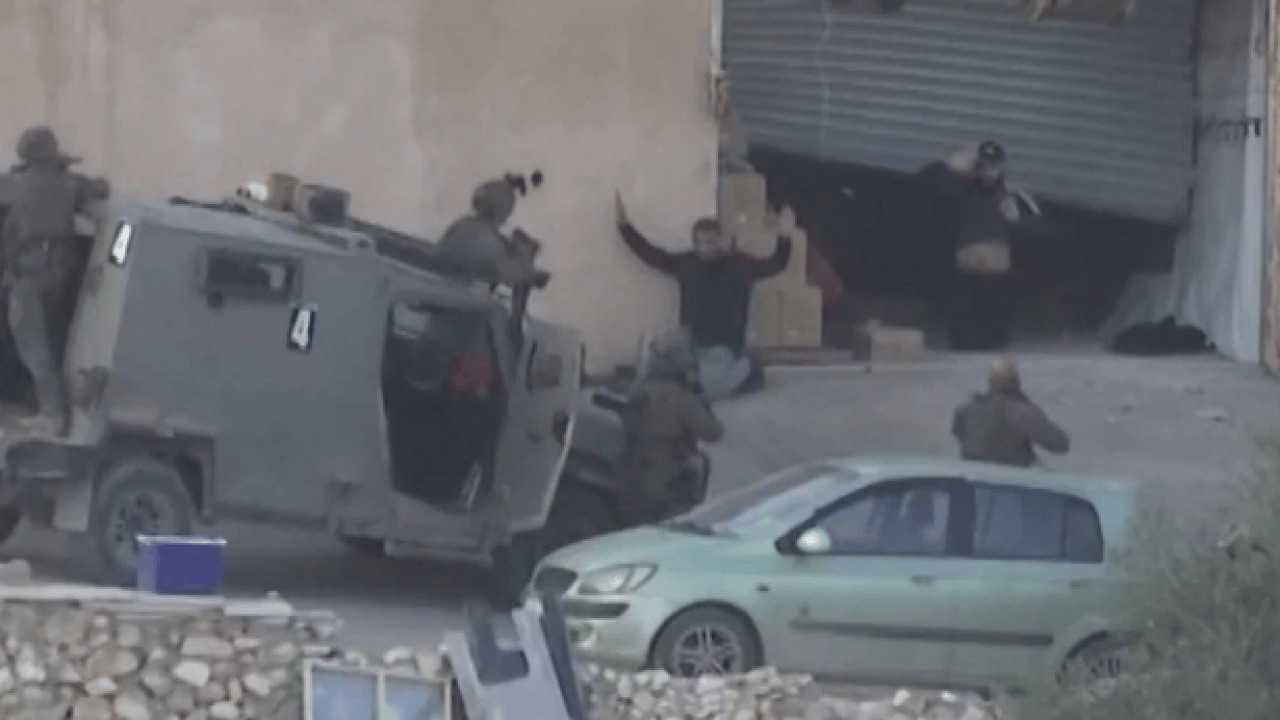 Foto - İsrail’in Batı Yaka’daki çevre terörü! Bir haftada 777 ağaç kökünden söküldü